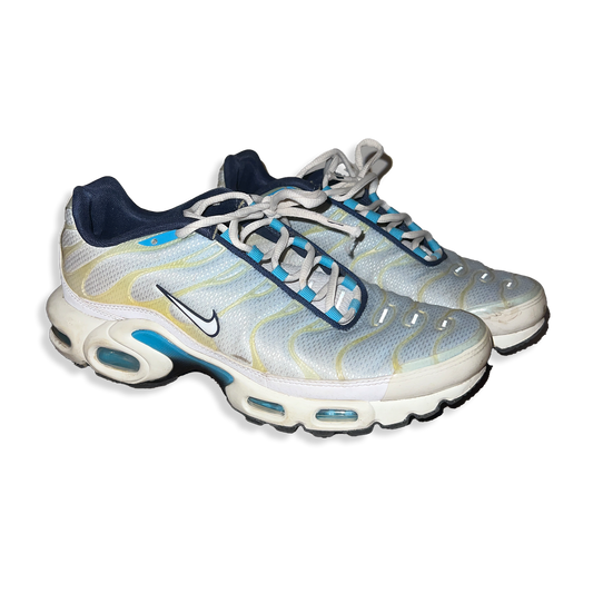 Nike TN White Blue - Very Rare